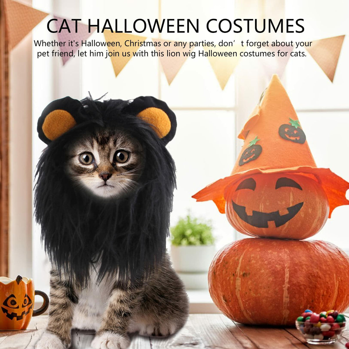 ITESSY Cat Halloween Costume Black Lion Mane Wig Hat Size S